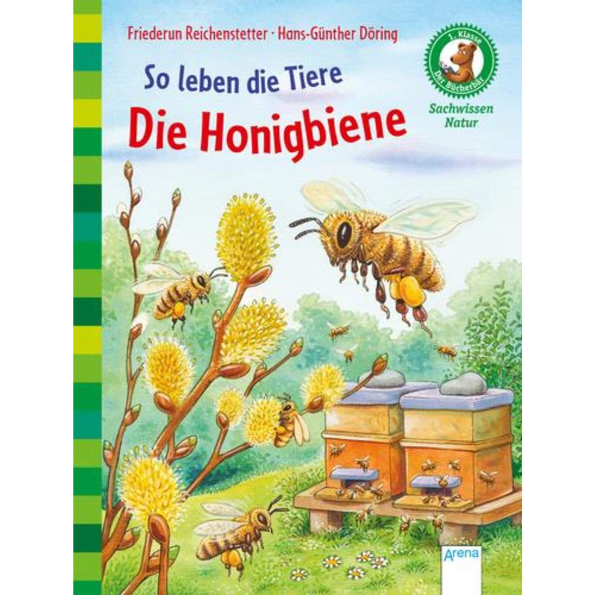 Arena So leben die Tiere Die Honigbiene