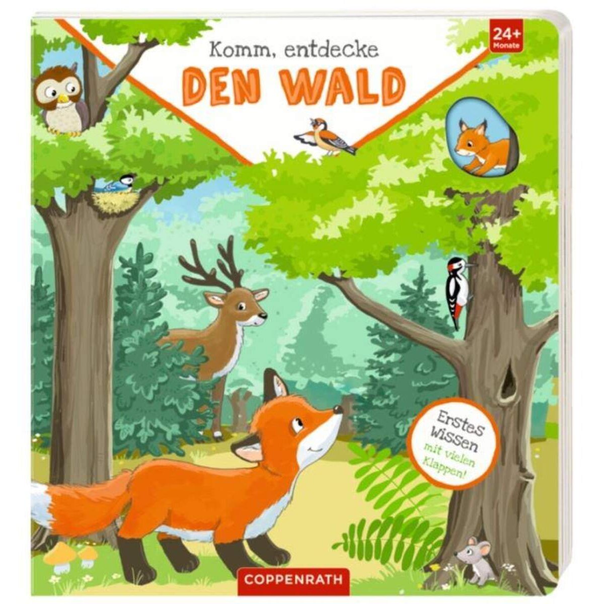Coppenrath Komm, entdecke den Wald