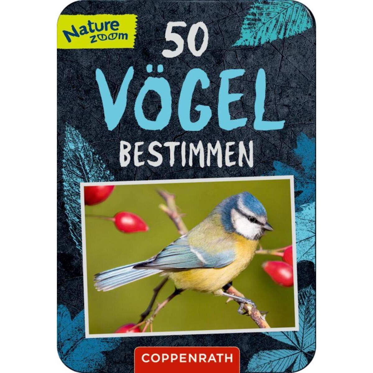 Coppenrath Verlag 50 Vögel bestimmen (Nature Zoom)