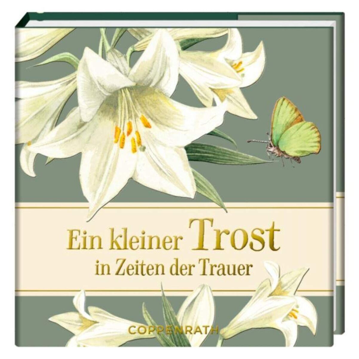 Coppenrath Verlag BiblioPhilia:Ein kleiner Trost in Zeiten der Trauer (Bastin)