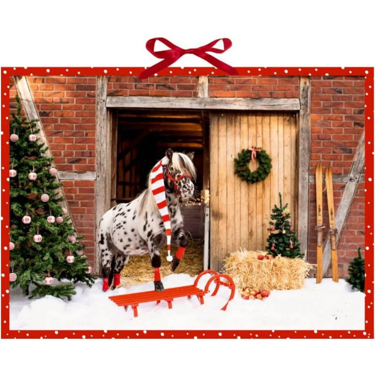 Coppenrath Verlag Dotti feiert Weihnachten, Wand-Adventskalender