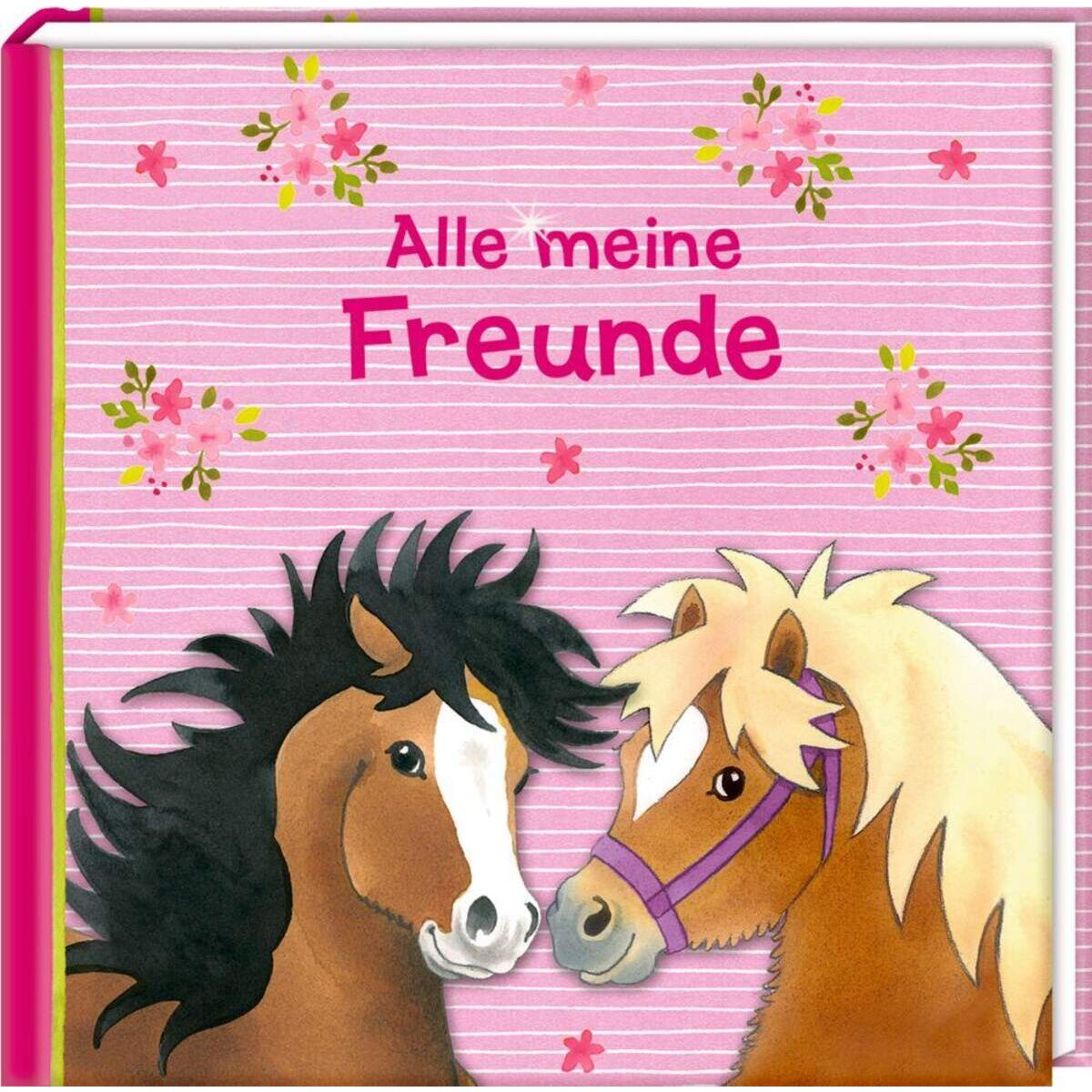 Coppenrath Verlag Freundebuch Mein kleiner Ponyhof