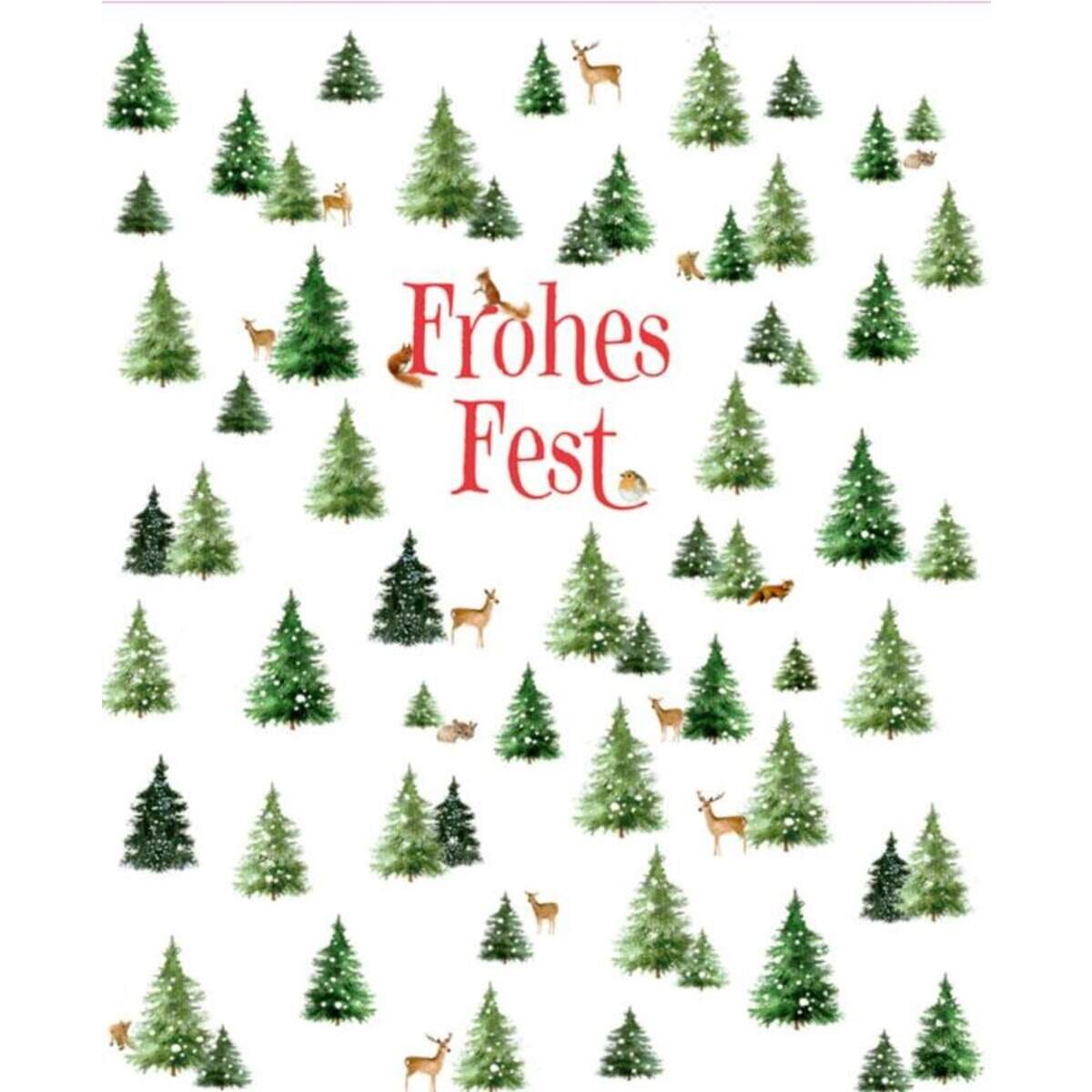 Coppenrath Verlag Geschenktüten-Buch: Schöner schenken (Weihnachtlich/Bastin)