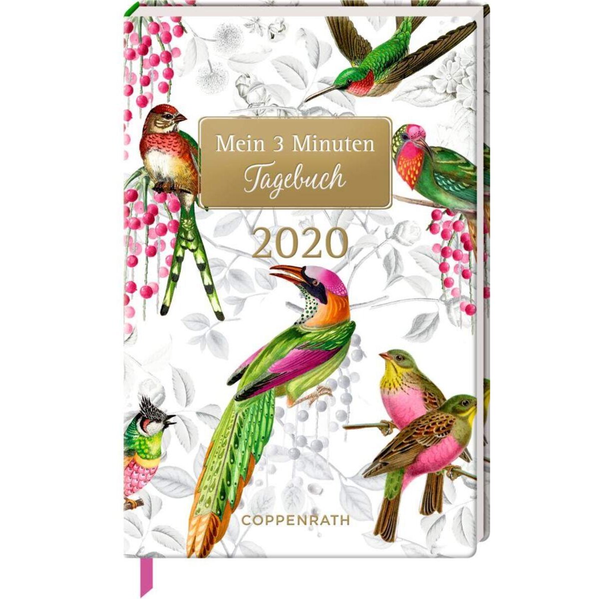 Coppenrath Verlag Jahreskalender: Mein 3 Min. Tagebuch 2020 (Bunte Vögel) Behr