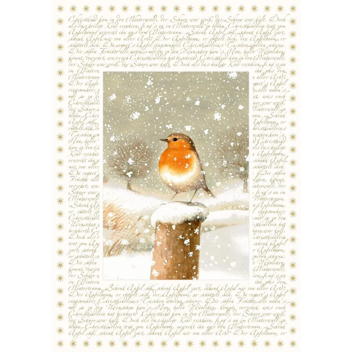 Coppenrath Verlag Marjoleins Winterwelt, Adventskalender A4 (Bastin)
