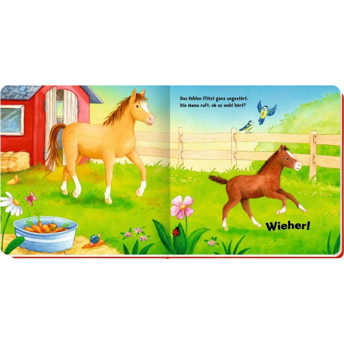 Coppenrath Verlag Miau, miau! Hör mal, die Tierkinder! (Mein 1. Soundbuch)