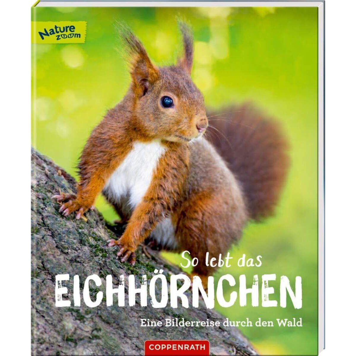 Coppenrath Verlag So lebt das Eichhörnchen (Nature Zoom)