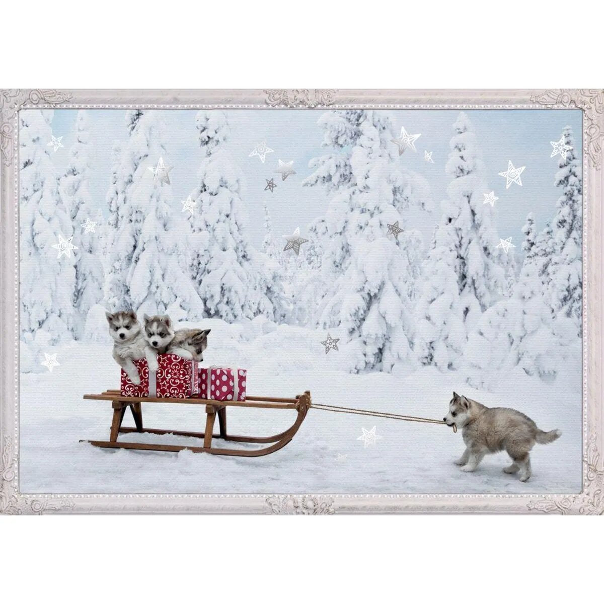 Coppenrath Verlag Tierische Schlittenfahrt, A3 Wand-Adventskalender
