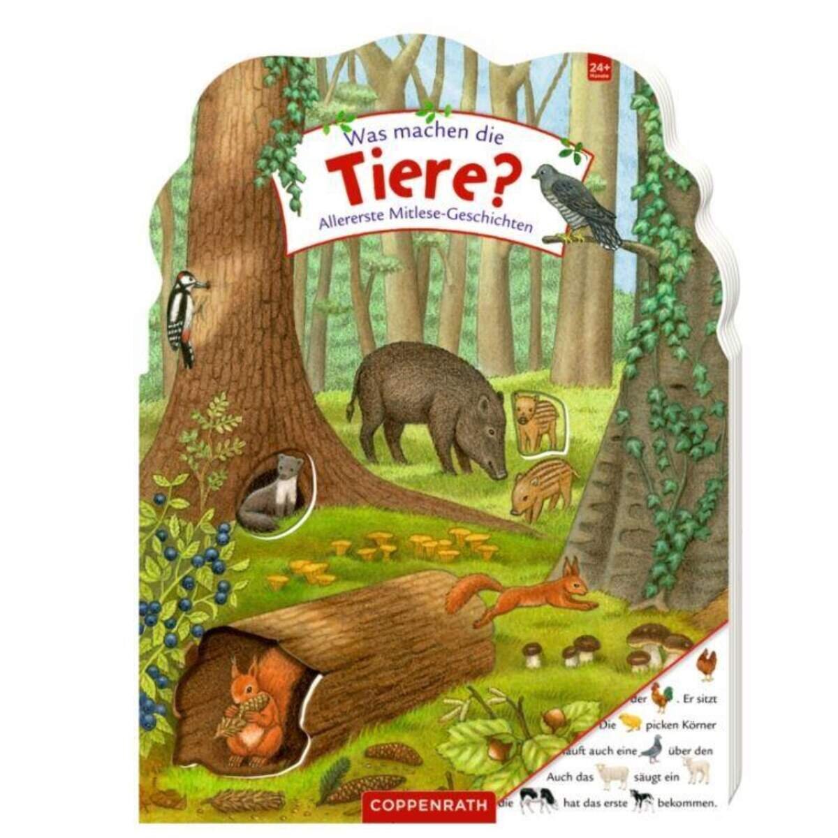 Coppenrath Verlag Was machen die Tiere? - Allererste Mitlese-Geschichten