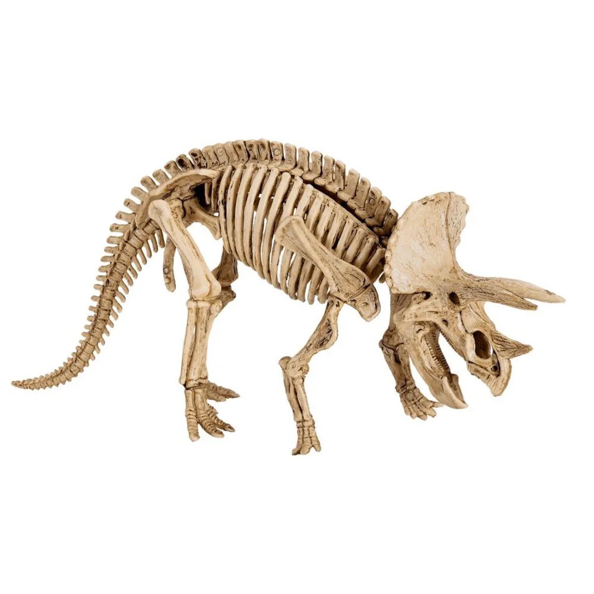 Die Spiegelburg Ausgrabungsset Triceratops T-Rex World