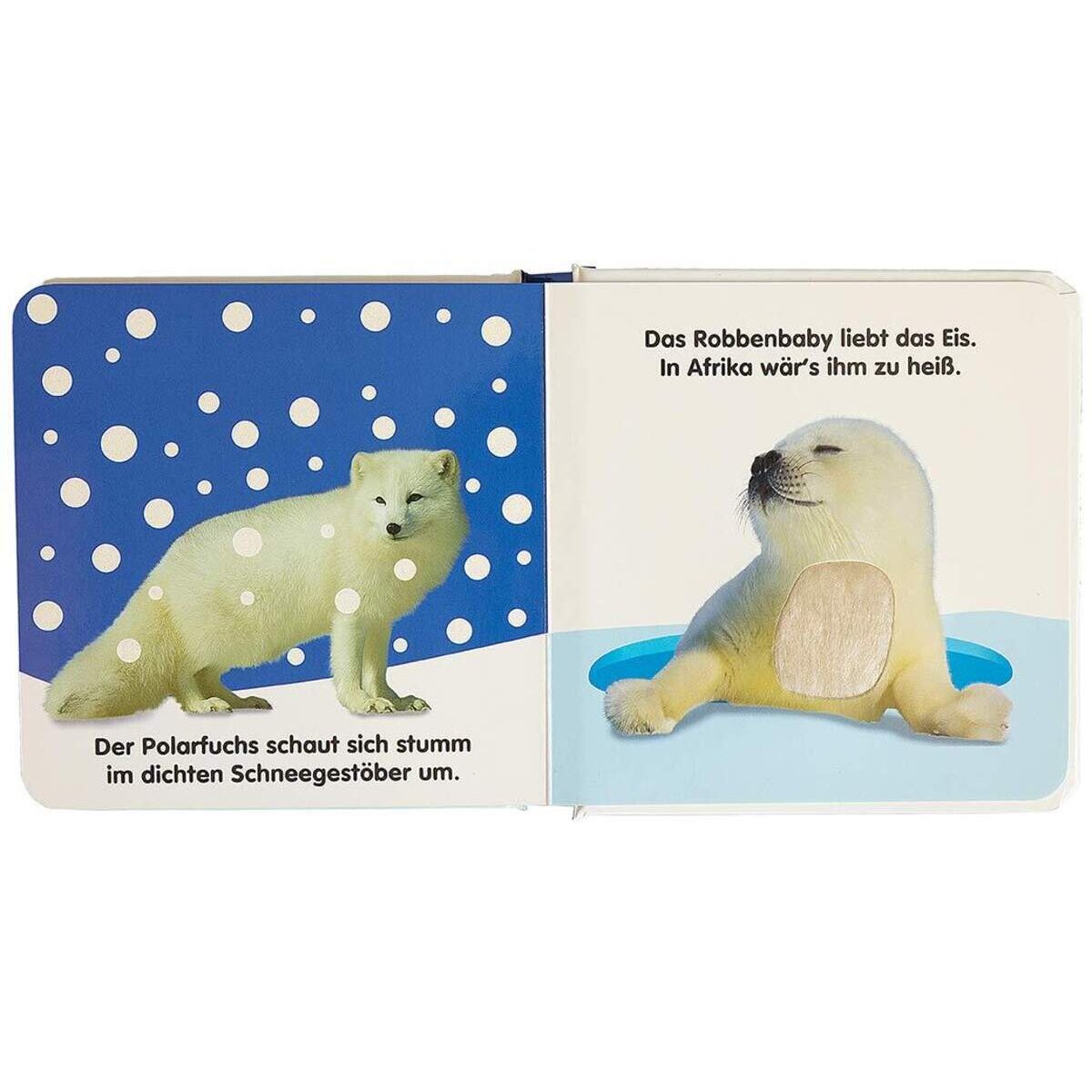 DK Verlag Mein Fühlbilderbuch - Süße Tiere