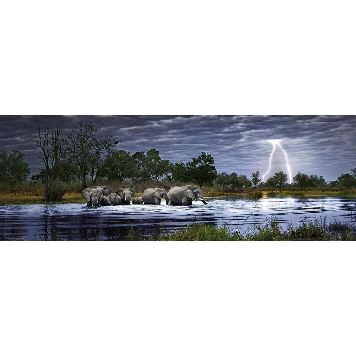 Heye Puzzle - Herd of Elephants, Edition Humboldt, 2000 Teile