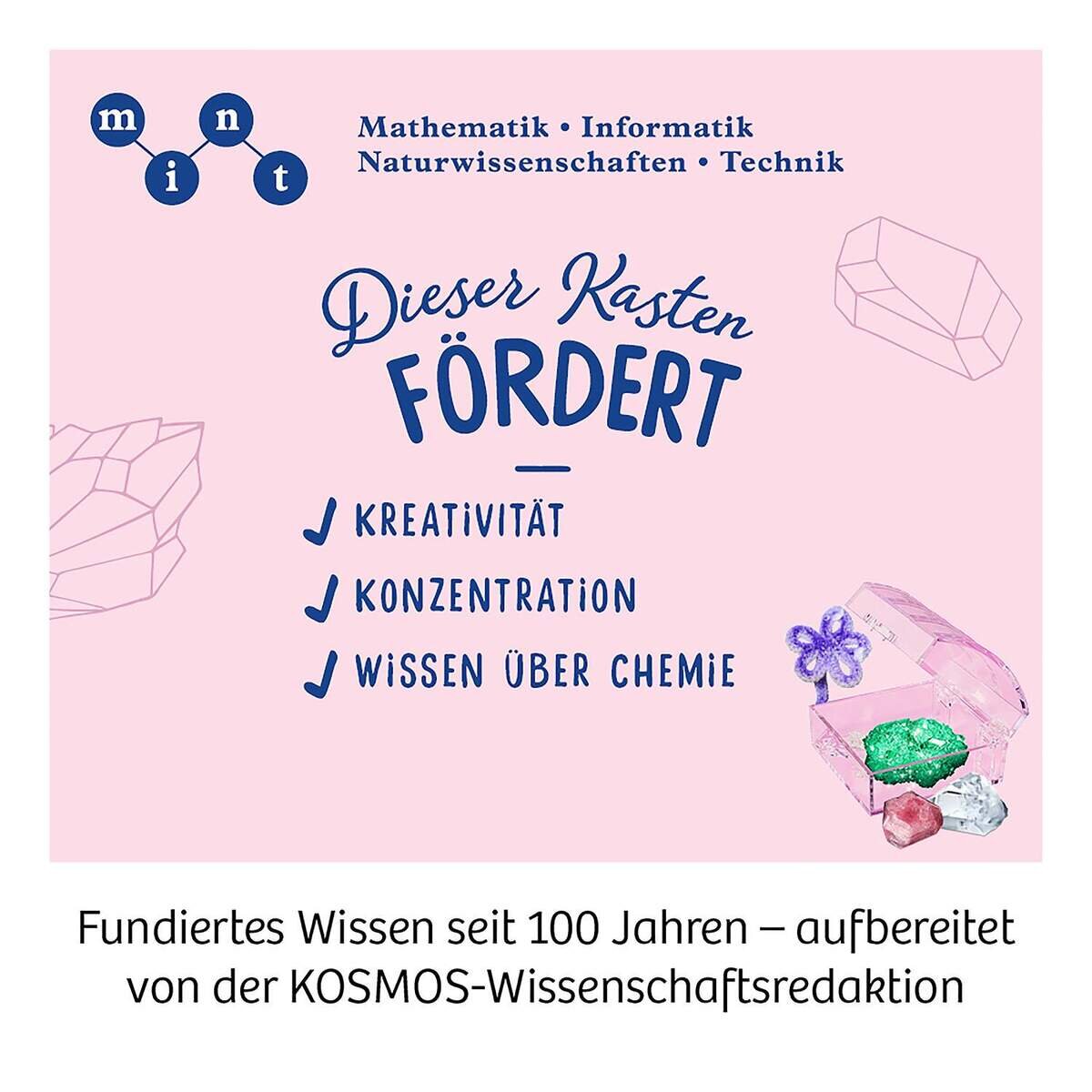 KOSMOS Kristall Garten Experimentierkasten