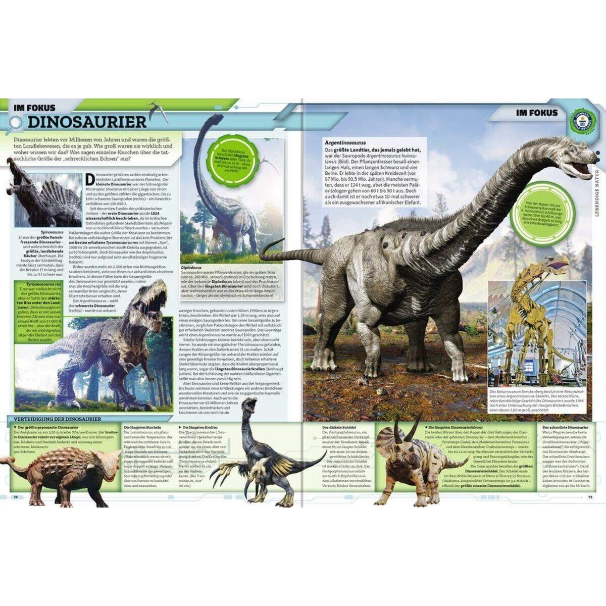 Ravensburger Guiness World Records 2019