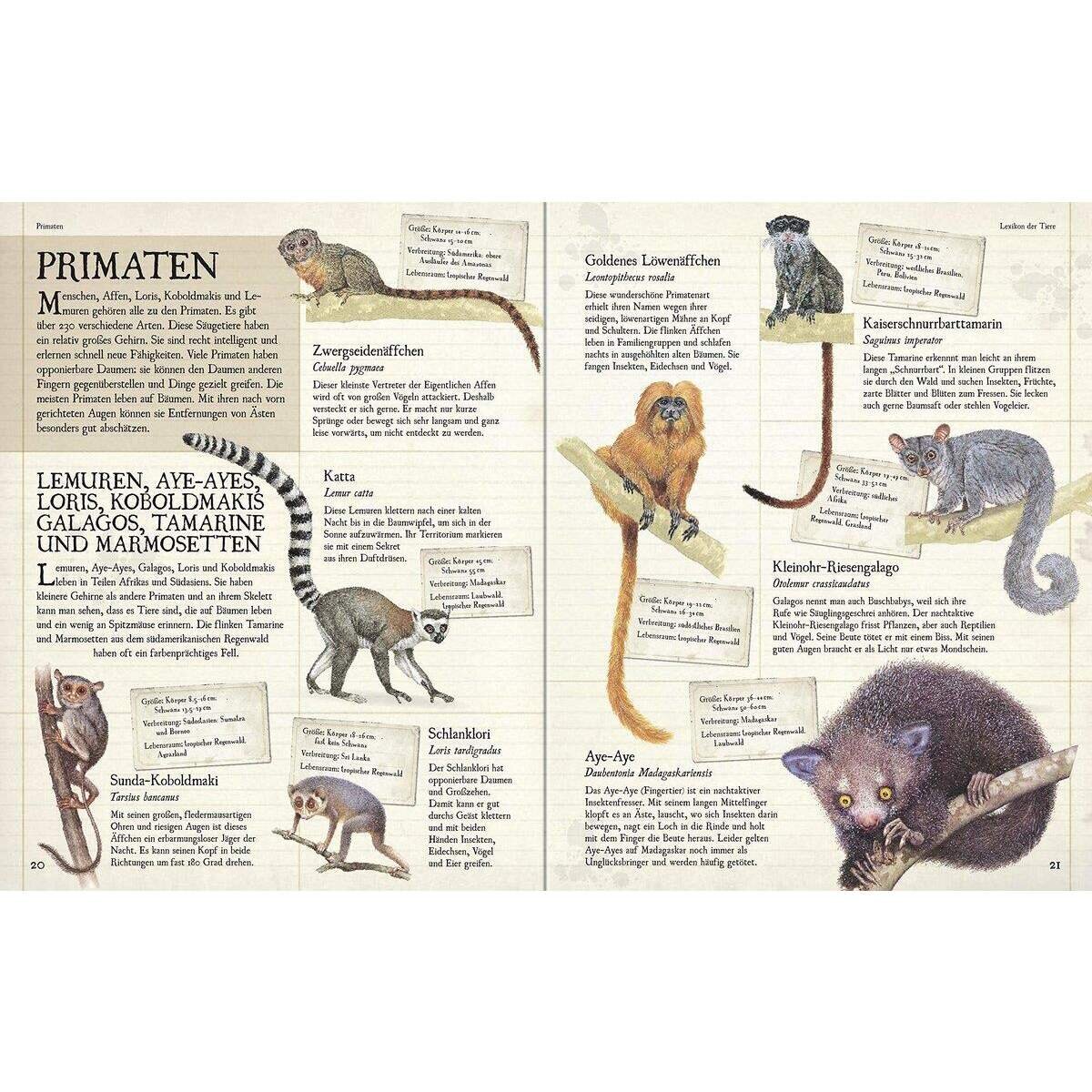 Ravensburger Lexikon der Tiere