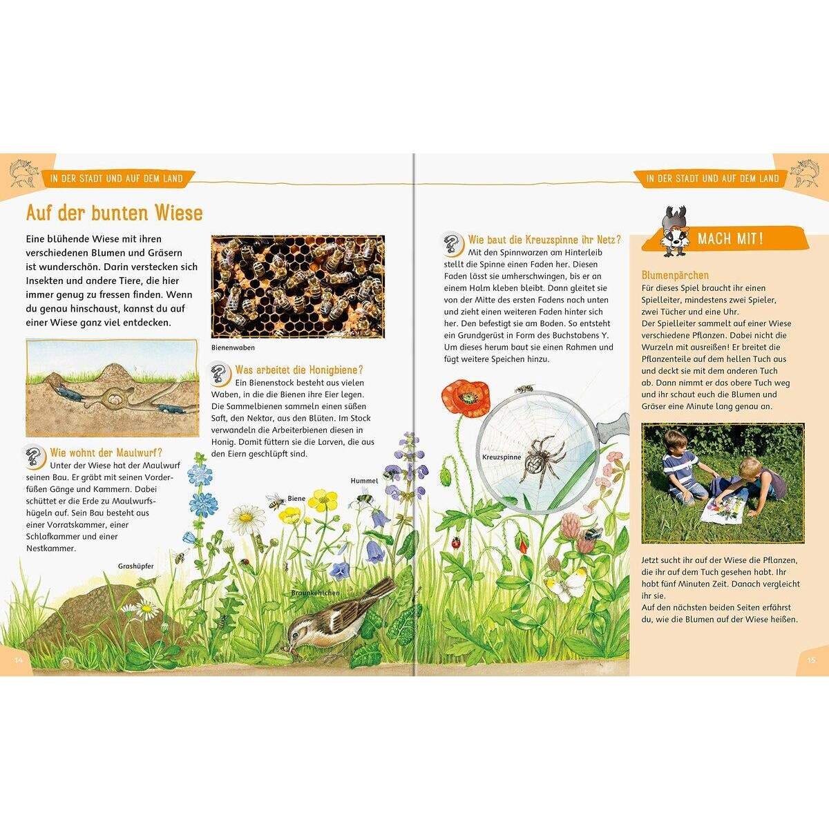 Ravensburger Mein großes Natur-Erlebnisbuch
