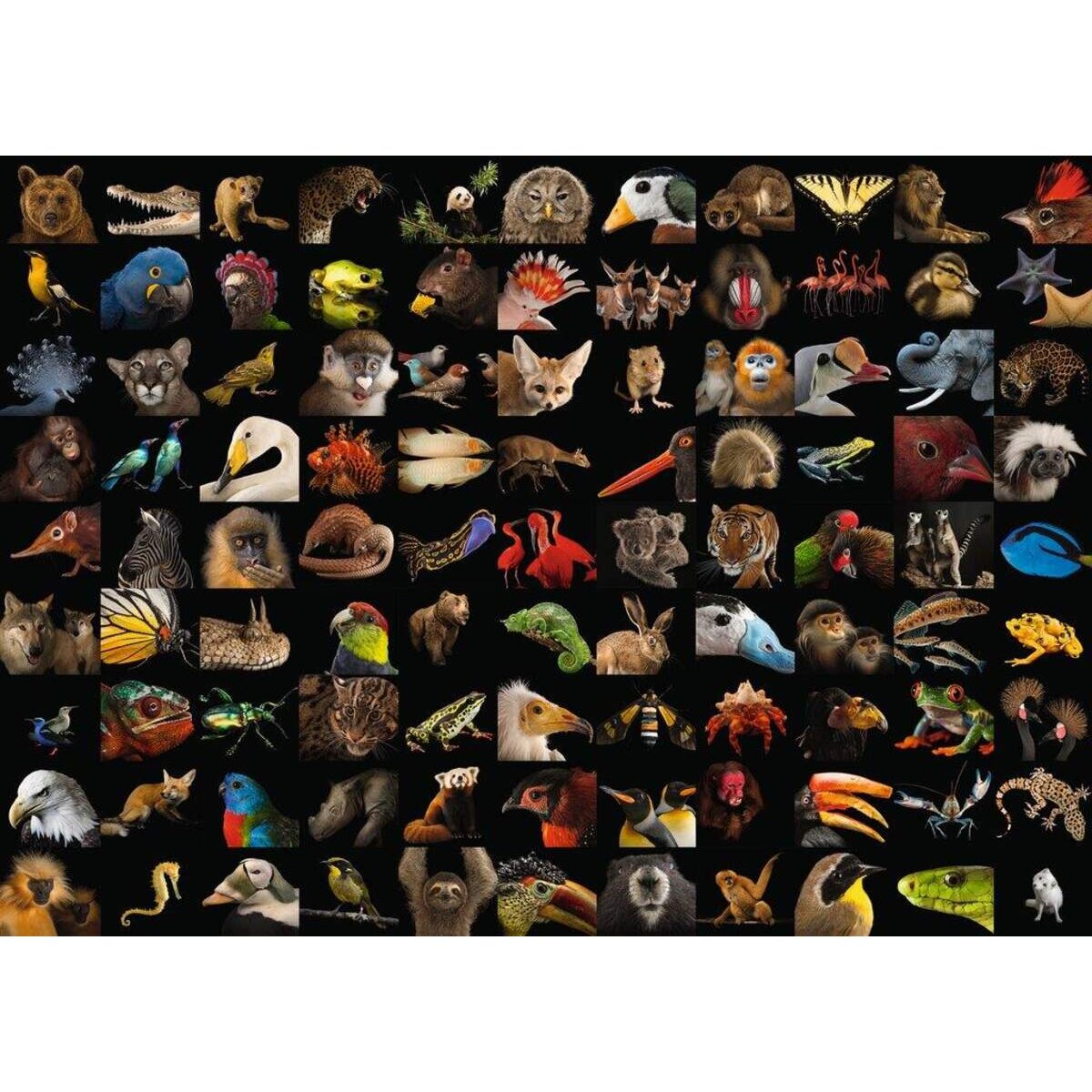 Ravensburger Puzzle 99 atemberaubende Tiere, 1000 Teile