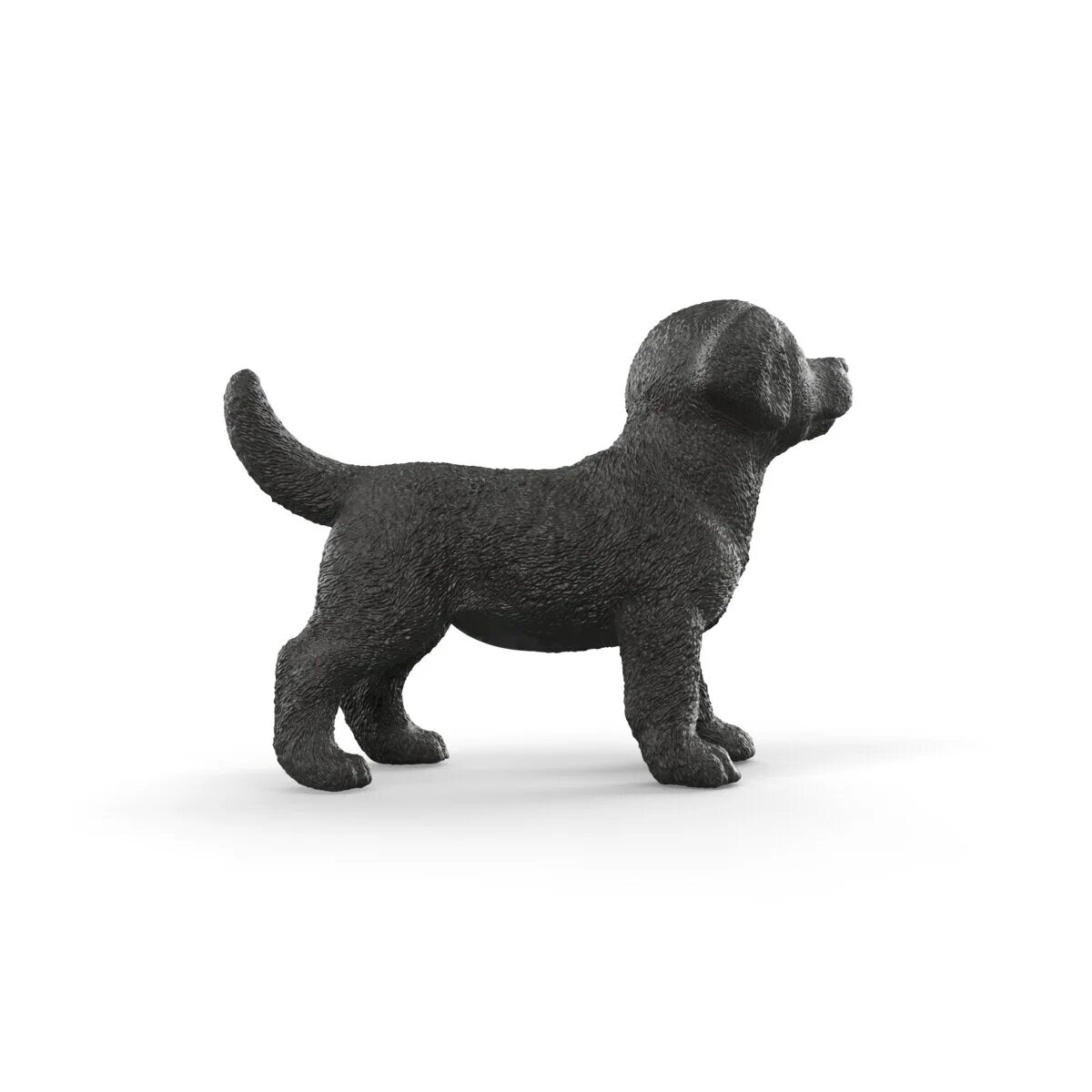 schleich-14922-schwarzer-labrador-retriever-B3F0DC374.jpg