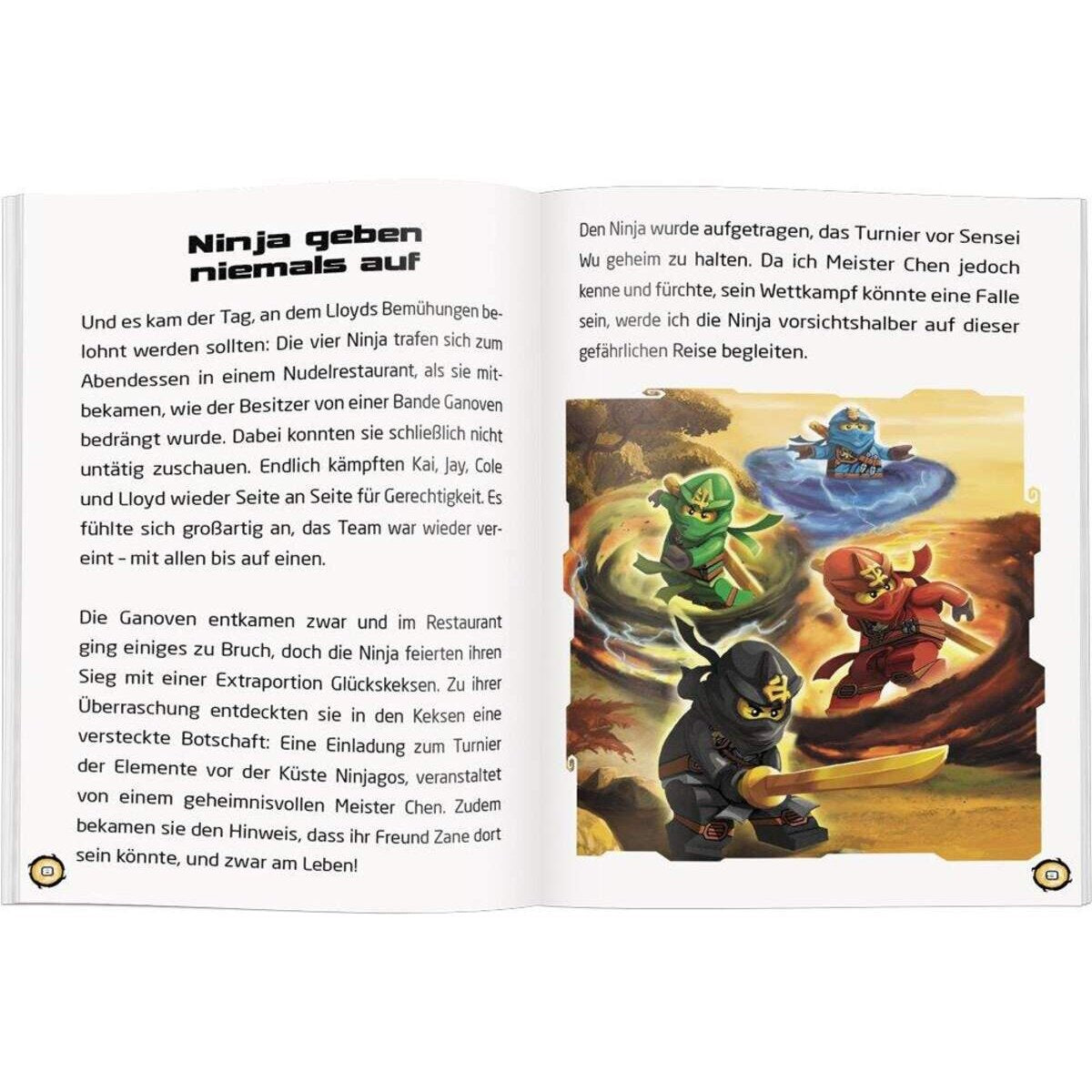 Ameet Verlag LEGO® NINJAGO™ Die Meister der Elemente