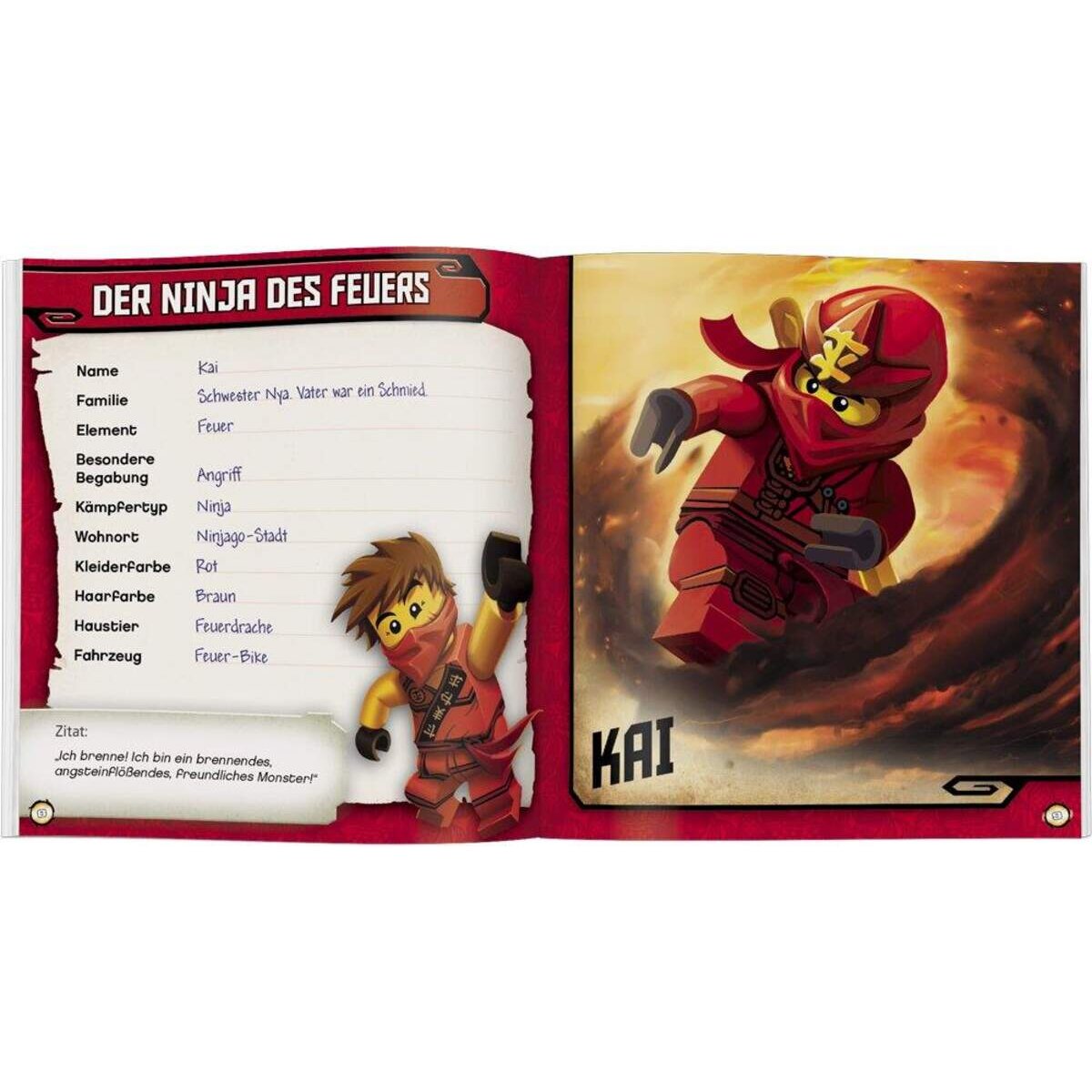 Ameet Verlag LEGO® NINJAGO™ Meine Freunde Album
