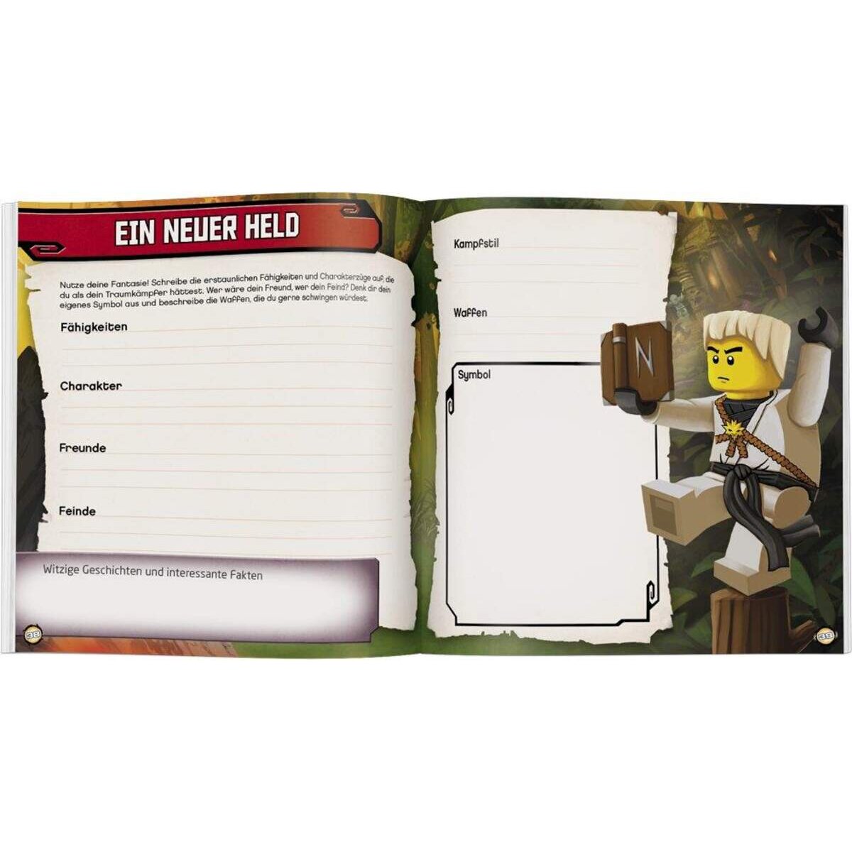 Ameet Verlag LEGO® NINJAGO™ Meine Freunde Album