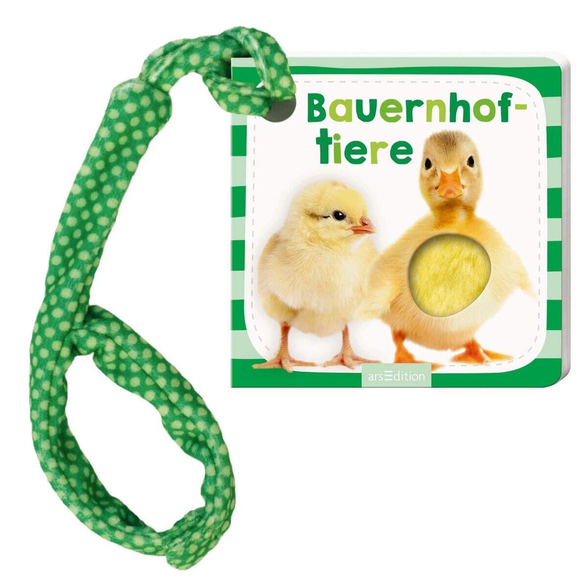 ars Edition Mein Foto Buggybuch Bauernhoftiere