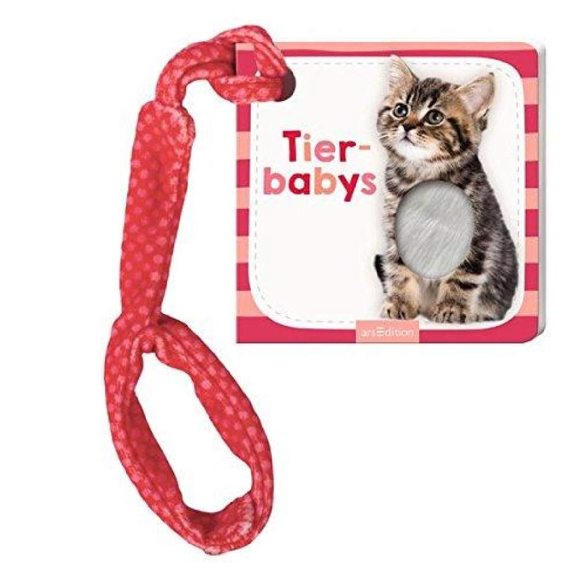 ars Edition Mein Foto Buggybuch - Tierbabys