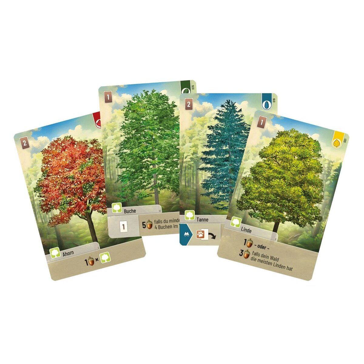 Asmodee Lookout Spiele Mischwald