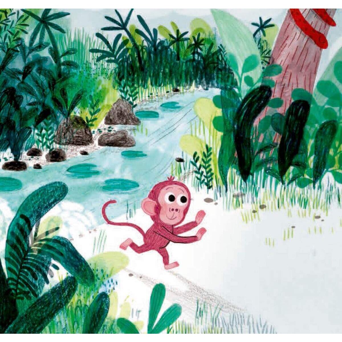 Bohem Äffchen Buch von Marta Altés
