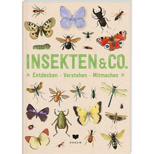 Bohem INSEKTEN & Co. - Entdecken-Verstehen-Mitmachen