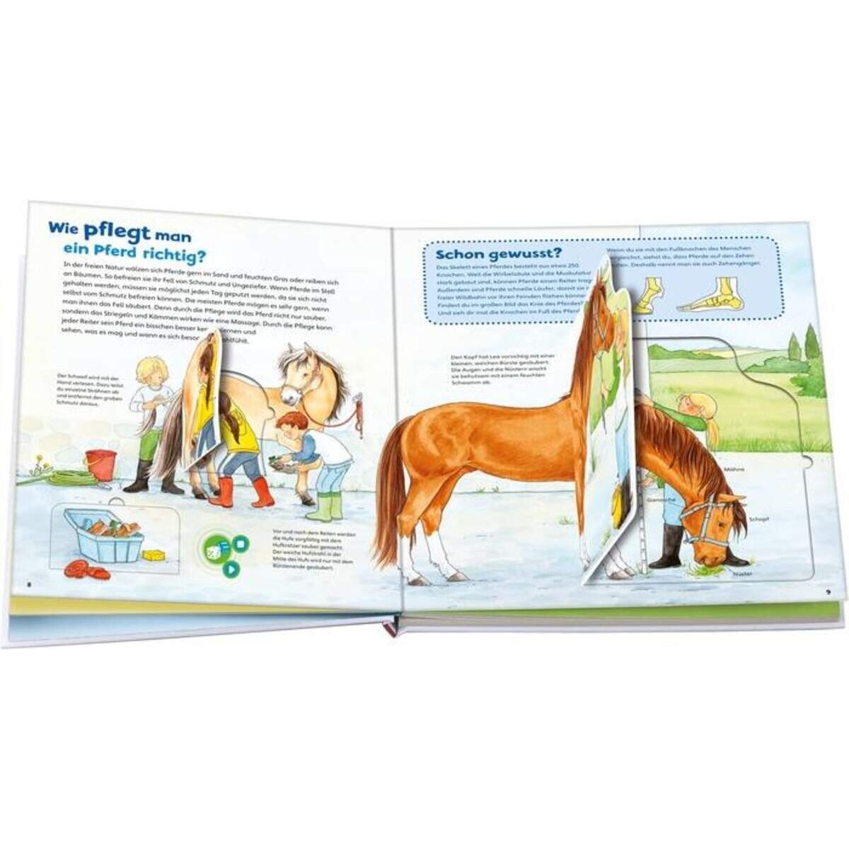 BOOKii® WAS IST WAS Junior - Komm mit zu den Pferden und Ponys!