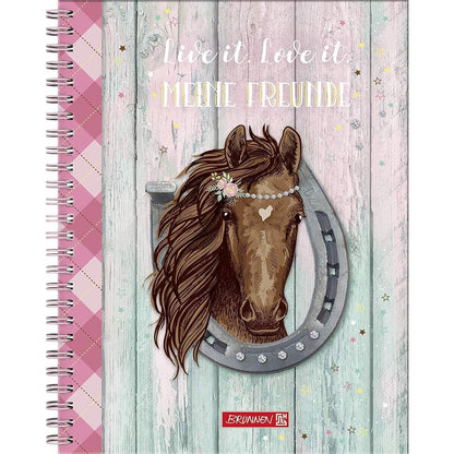 BRUNNEN Freundebuch Ponylove Pferde - Meine Freunde - mit Stickern Fans of Earth