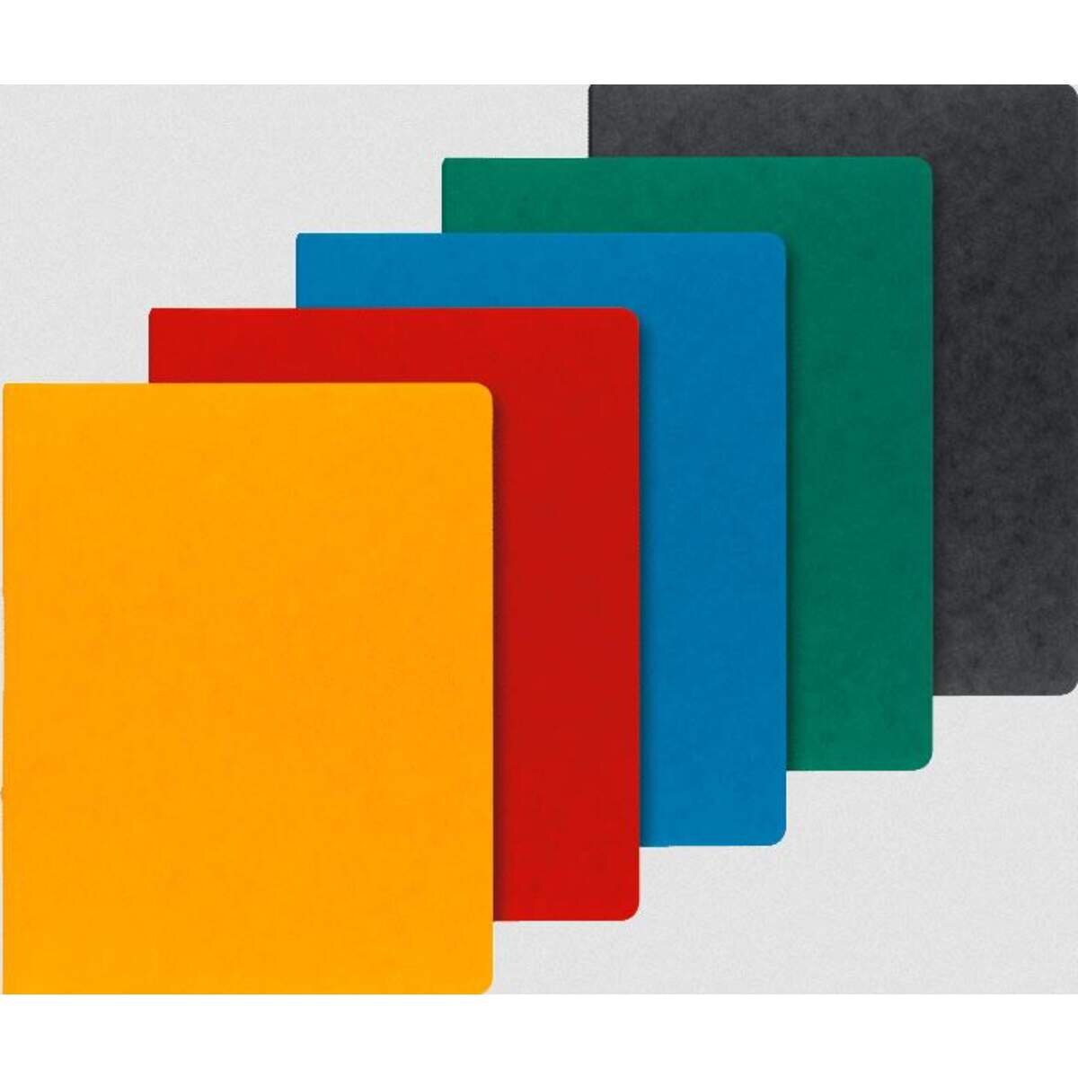 brunnen-ringbuch-a4-factplus-2r-D688BCBA1.jpg