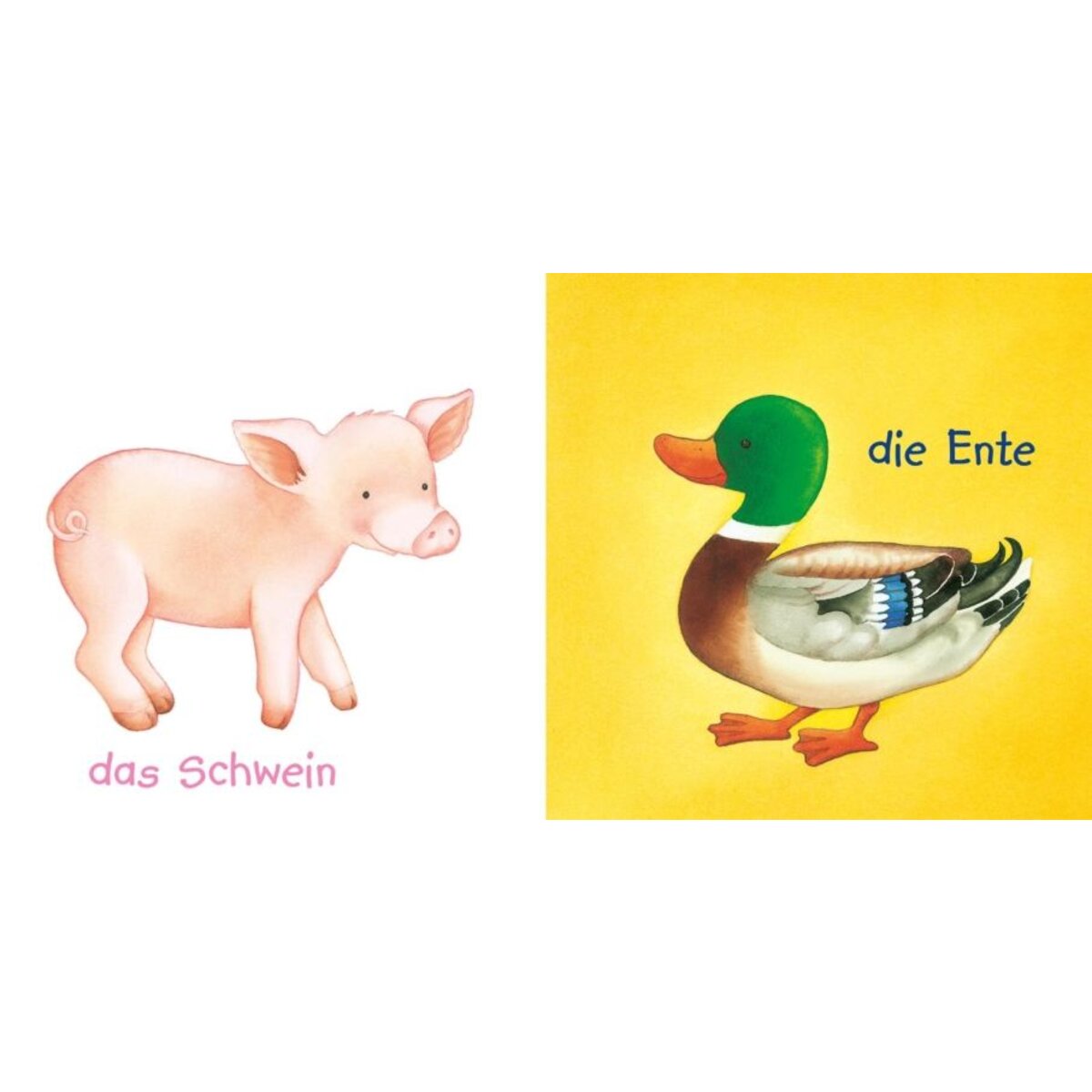 Carlsen Verlag Baby Pixi (unkaputtbar) 44: Mein Baby-Pixi-Buggybuch: Unsere Tiere