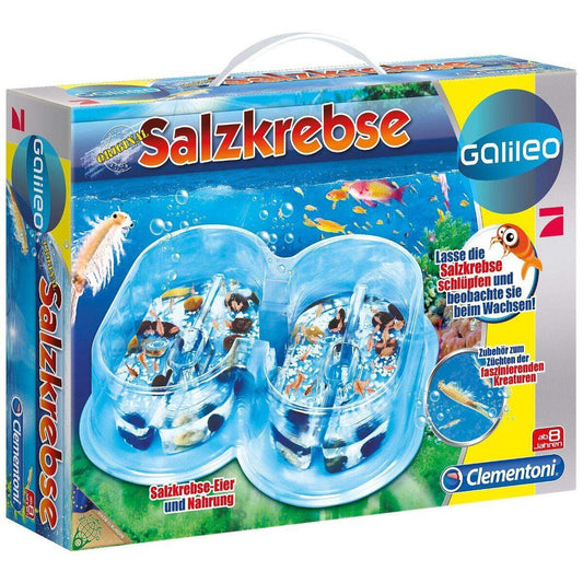 Clementoni Galileo Salzkrebse Basisset