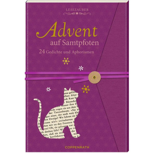 Coppenrath Lesezauber: Advent auf Samtpfoten Briefbuch zum Aufschneiden