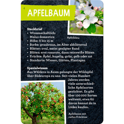 coppenrath-verlag-50-baeume-kennen-DA884B463.jpg