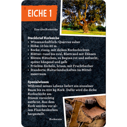 coppenrath-verlag-50-baeume-kennen-DA884B465.jpg