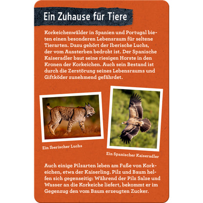 coppenrath-verlag-50-baeume-kennen-DA884B466.jpg