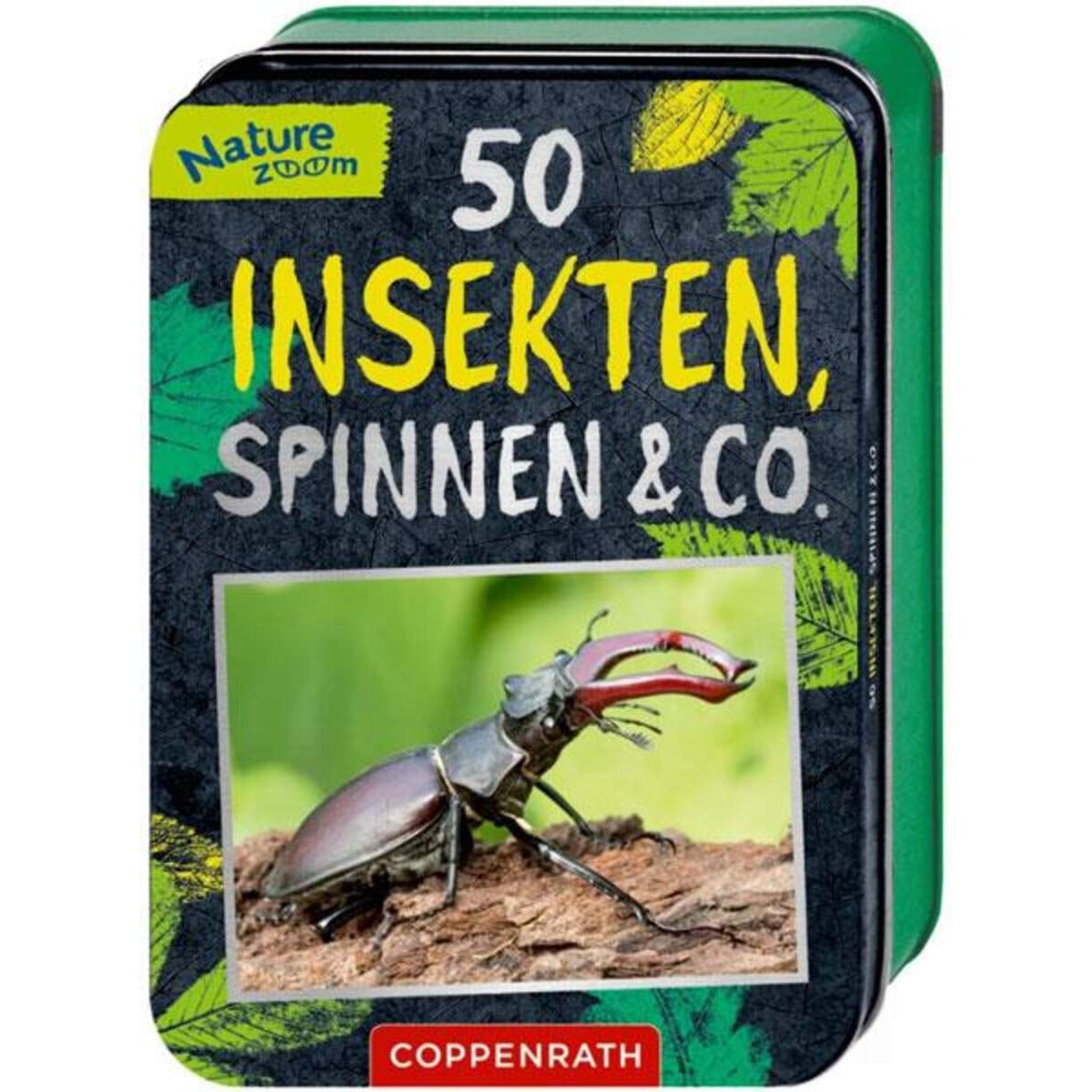 Coppenrath Verlag 50 Insekten, Spinnen & Co. (Nature Zoom)