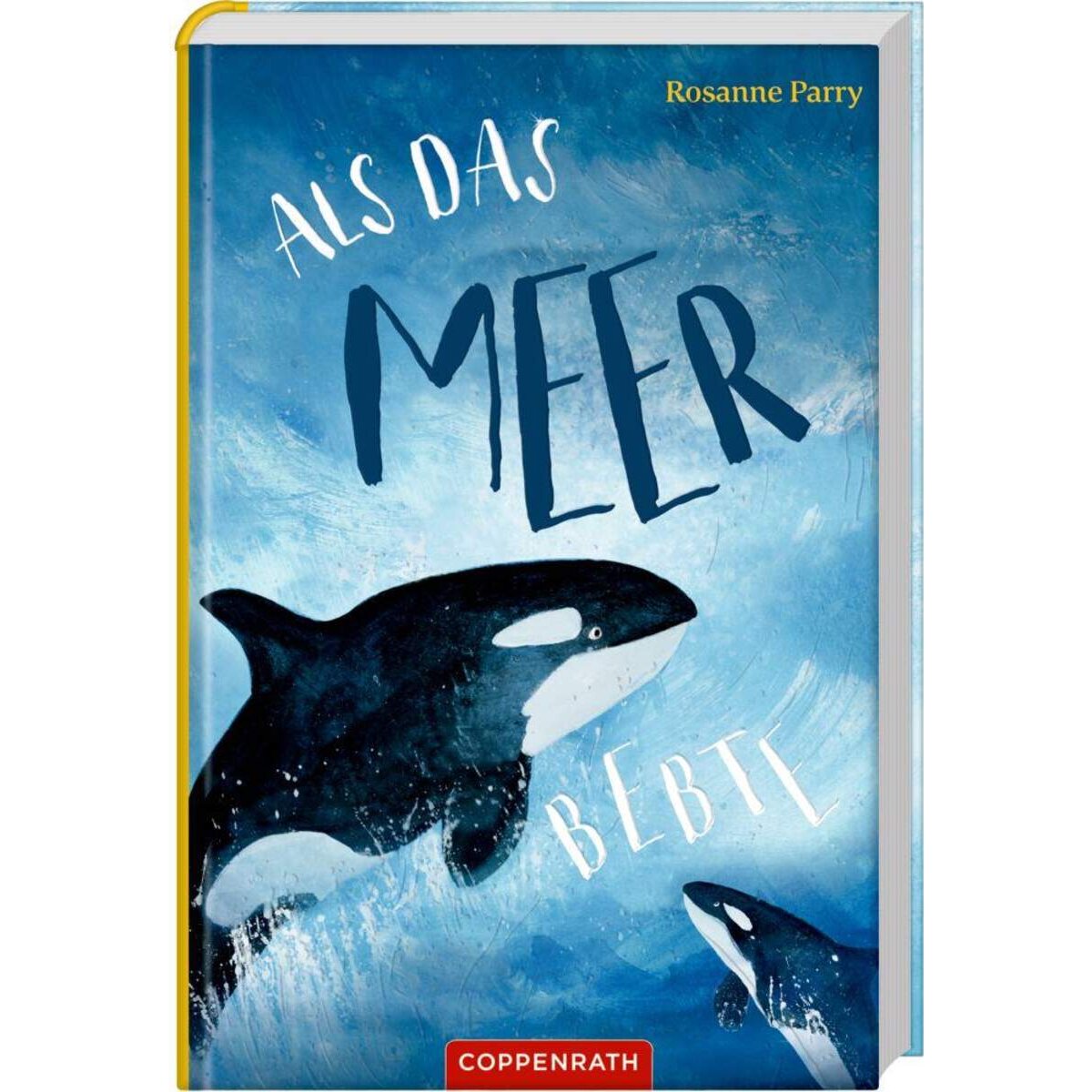 Coppenrath Verlag Als das Meer bebte