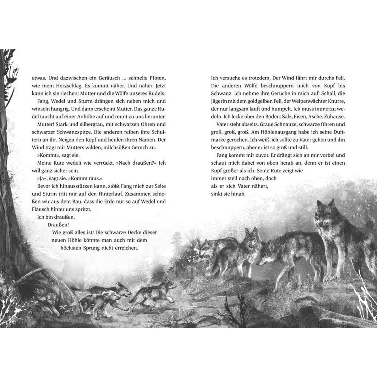Coppenrath Verlag Als der Wolf den Wald verließ