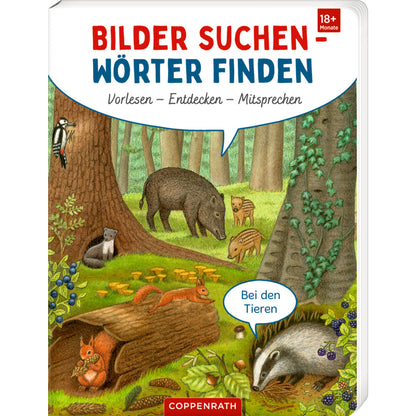 coppenrath-verlag-bilder-suchen-woerter-5FC2FE801.jpg