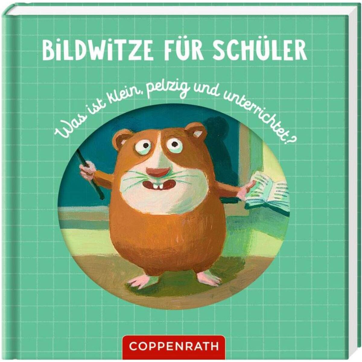 Coppenrath Verlag Bildwitze für Schüler