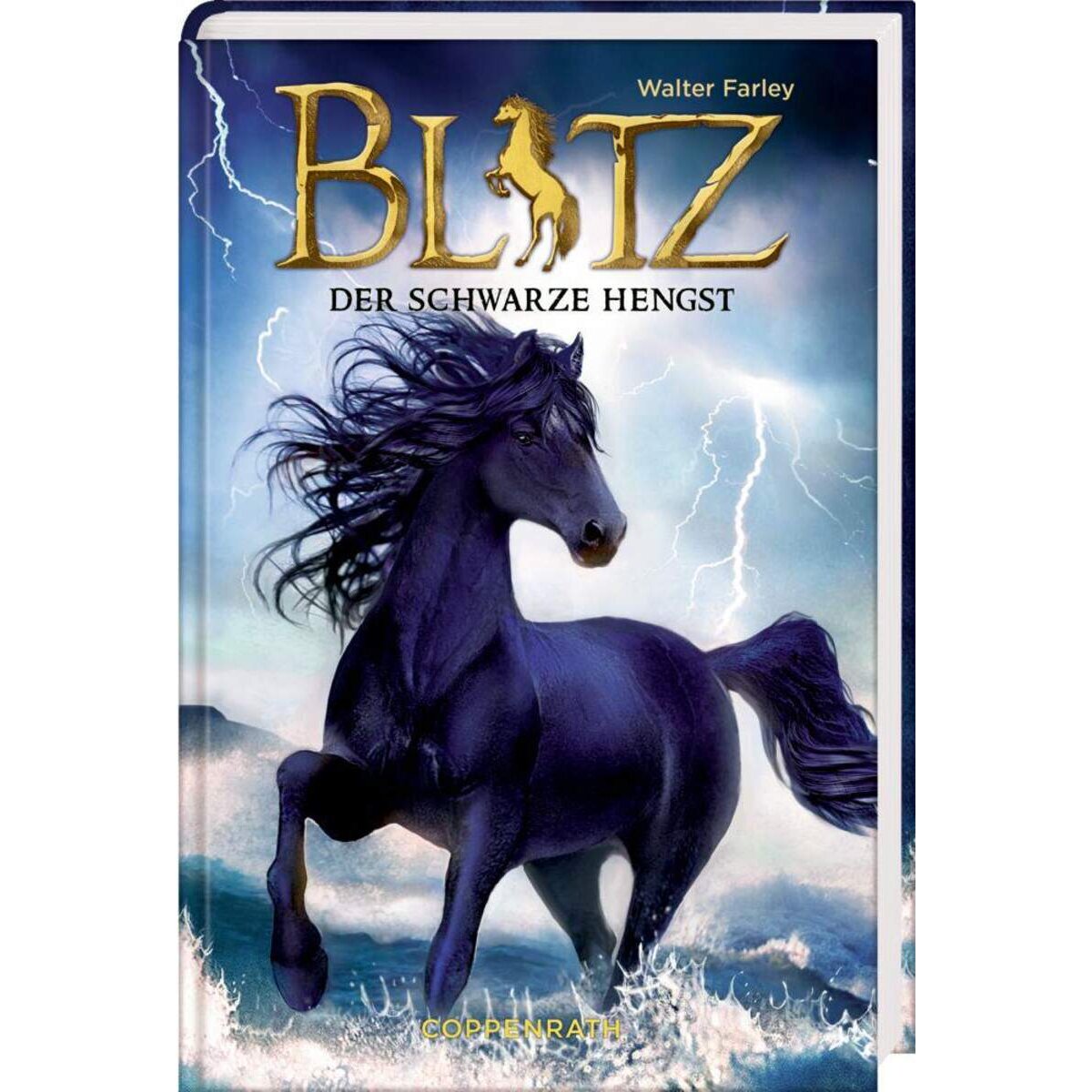 Coppenrath Verlag Blitz Band 1 Der schwarze Hengst