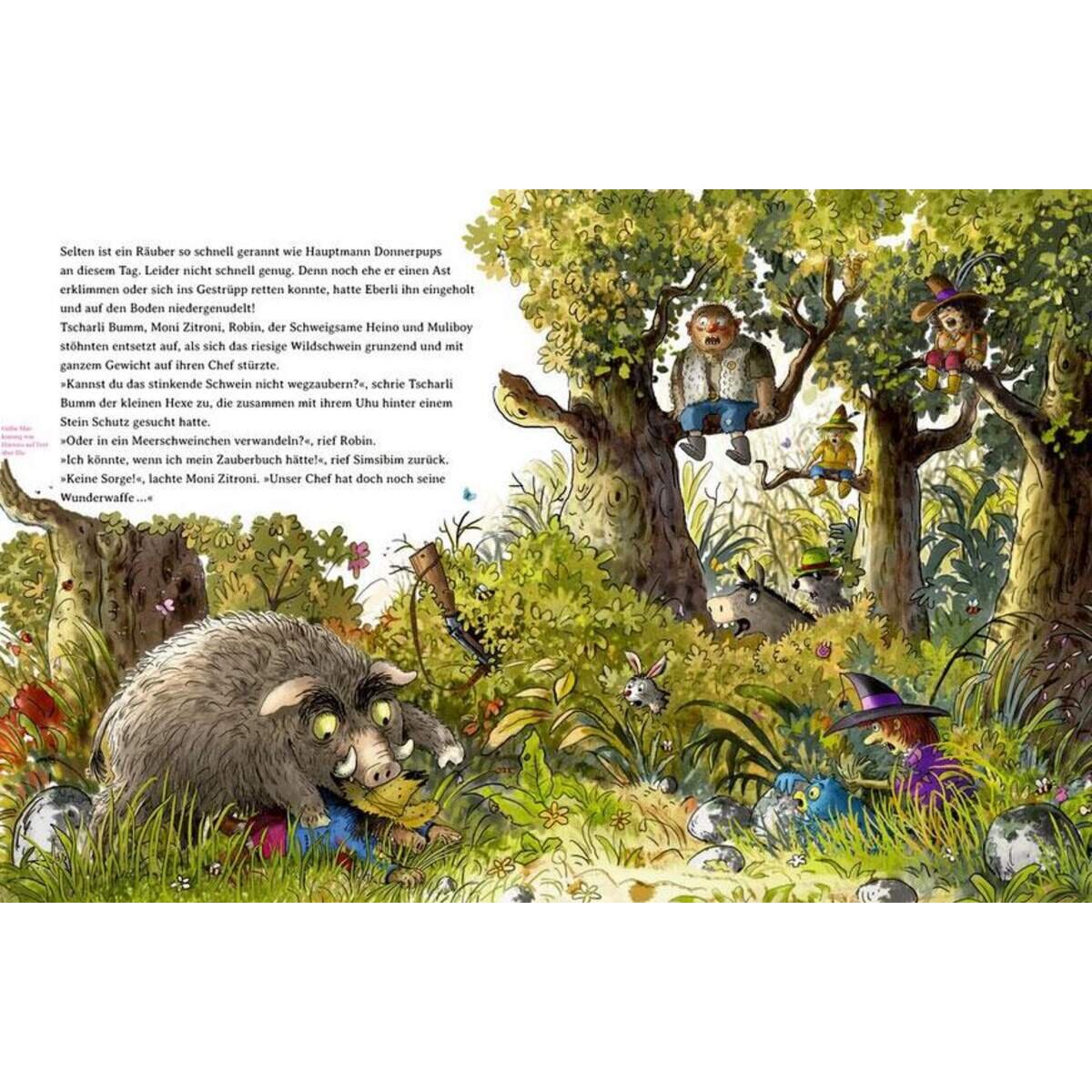 Coppenrath Verlag Der wilde Räuber Donnerpups (Bd.5) - Verhext u. zugenäht!