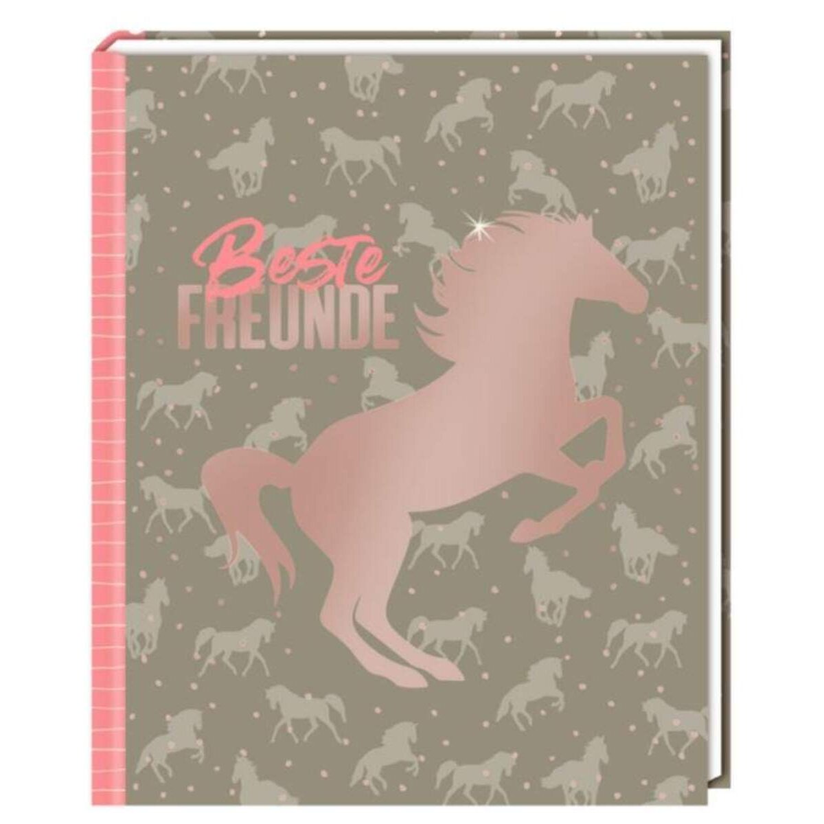 Coppenrath Verlag Freundebuch I LOVE HORSES - Beste Freunde