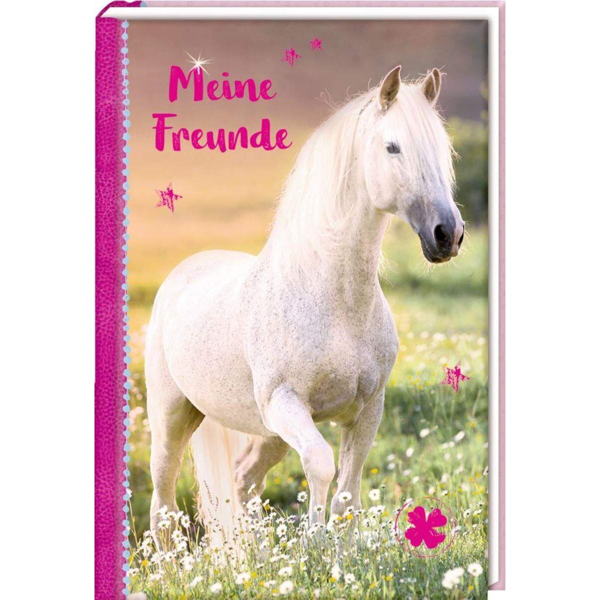 Coppenrath Verlag Freundebuch Meine Freunde Schimmel