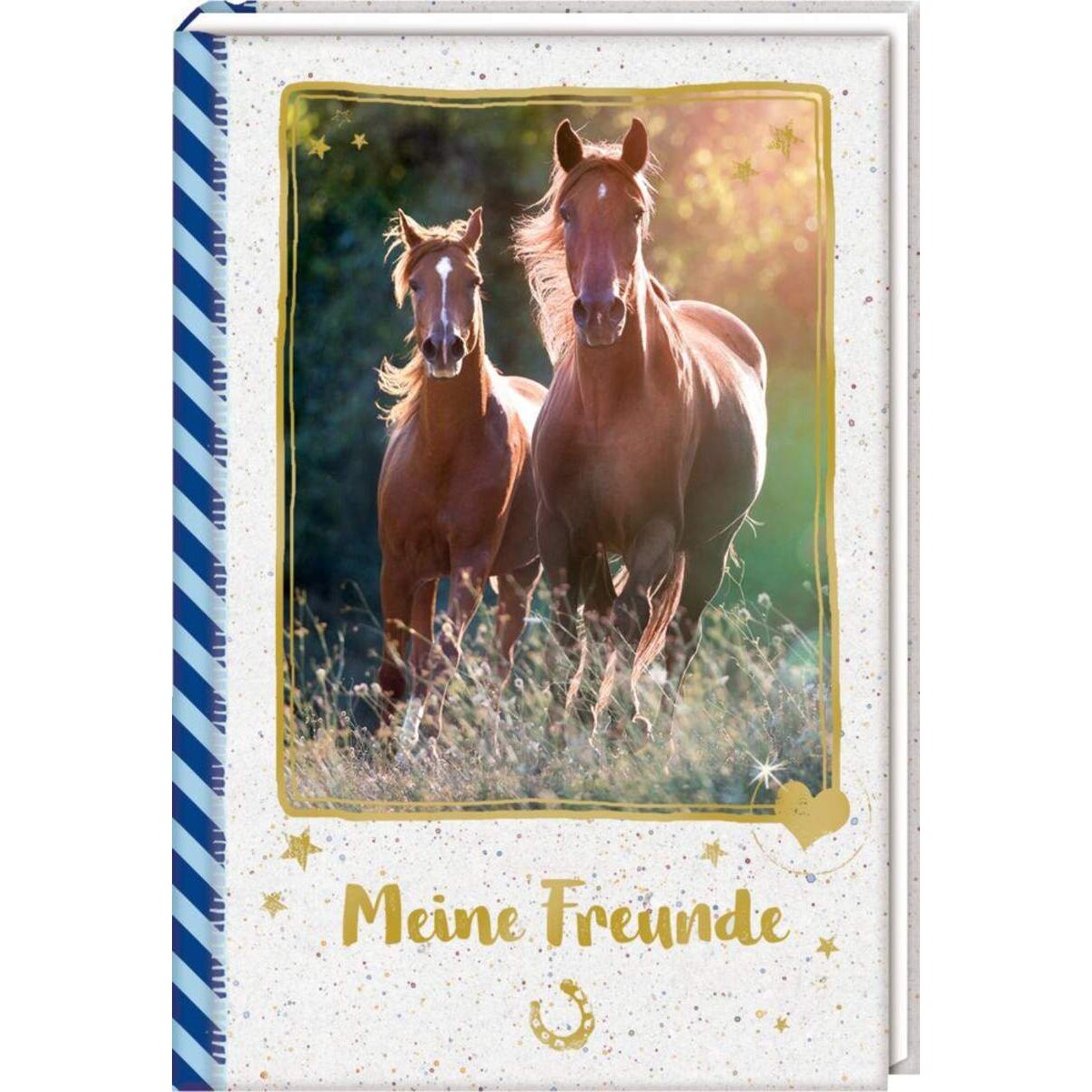 Coppenrath Verlag Freundebuch Meine Freunde Galoppierende Pferde