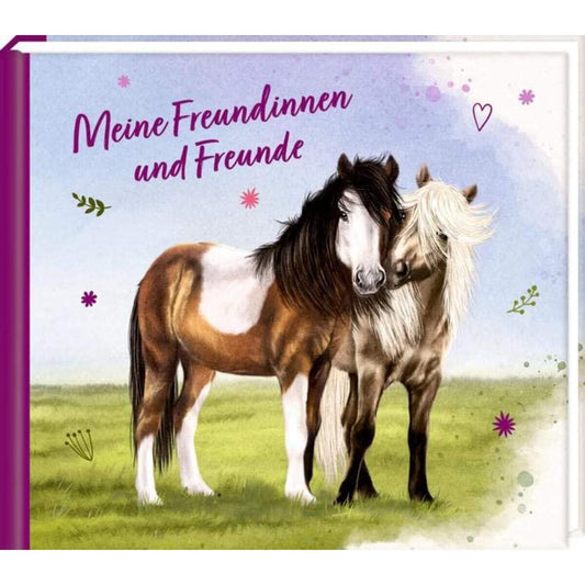coppenrath-verlag-freundebuch-meine-freundinnen-B219DF991.jpg